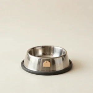 Everyday Steel Bowl